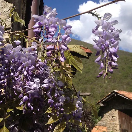بيت للعطل Casa Borgo Senarega