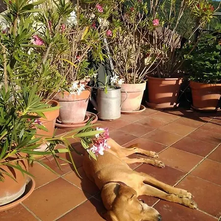 Casa Borgo Prázdninový dům Senarega